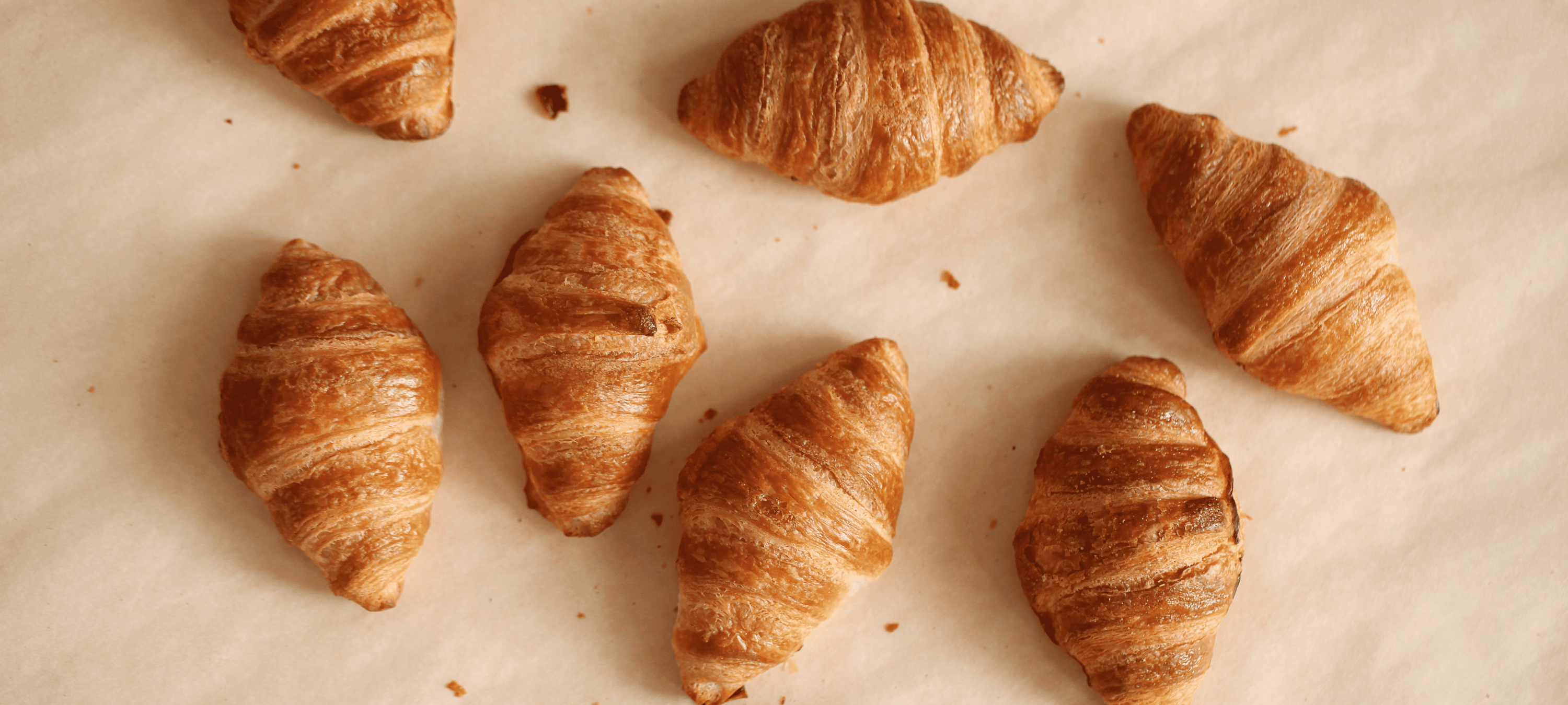 Wholesale & Business