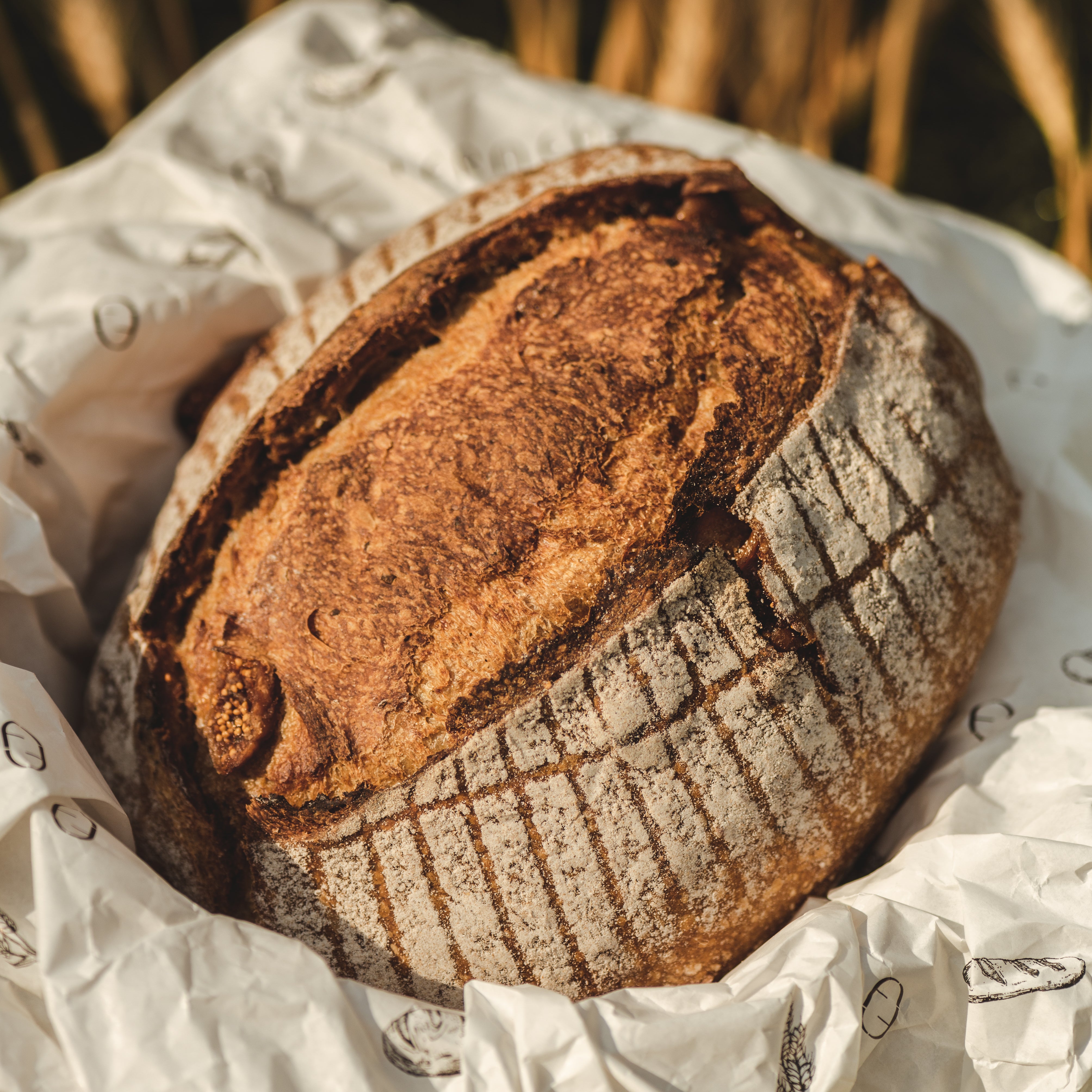 Fig & Pecan Sourdough