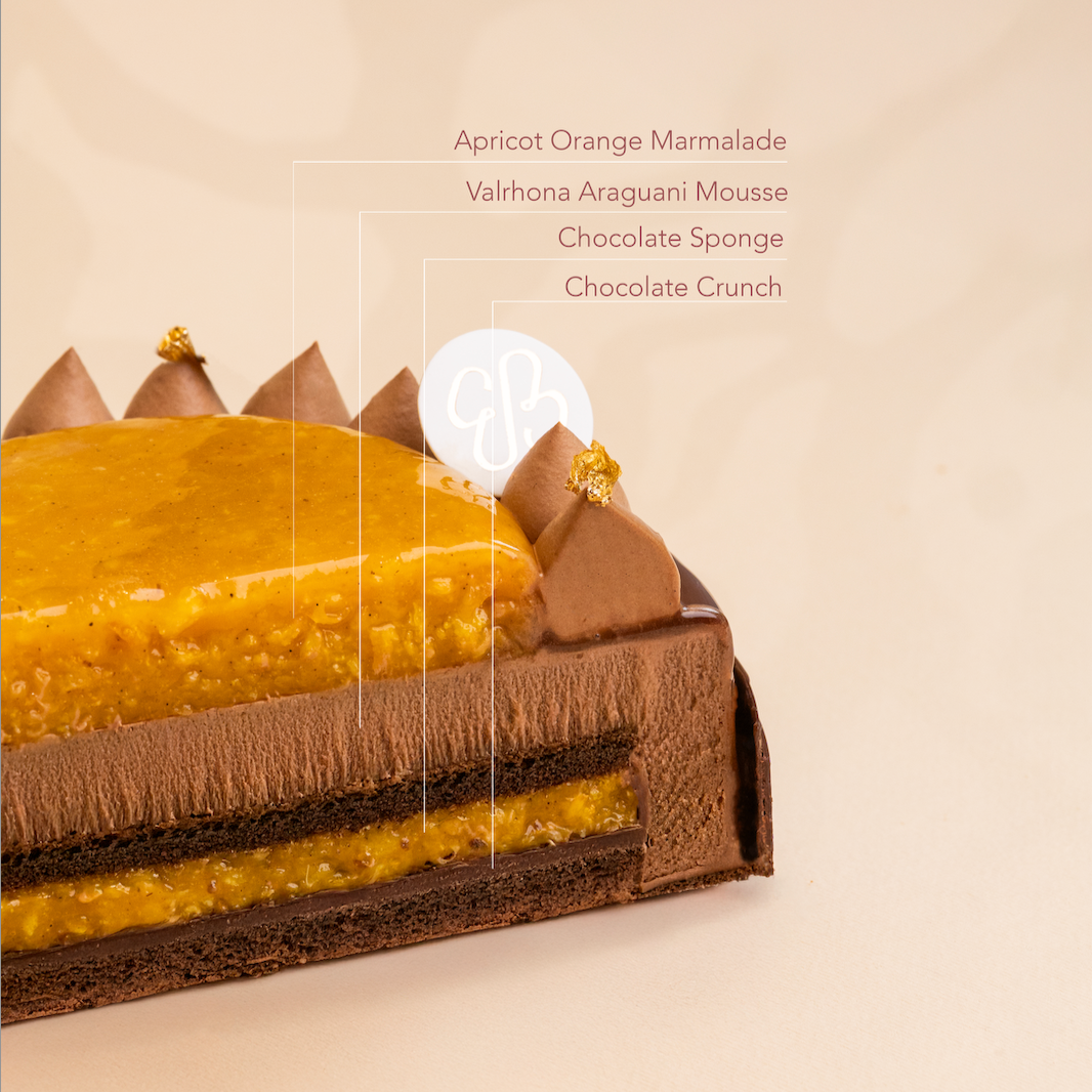 Father's Day Cake (Chocolate Apricot)